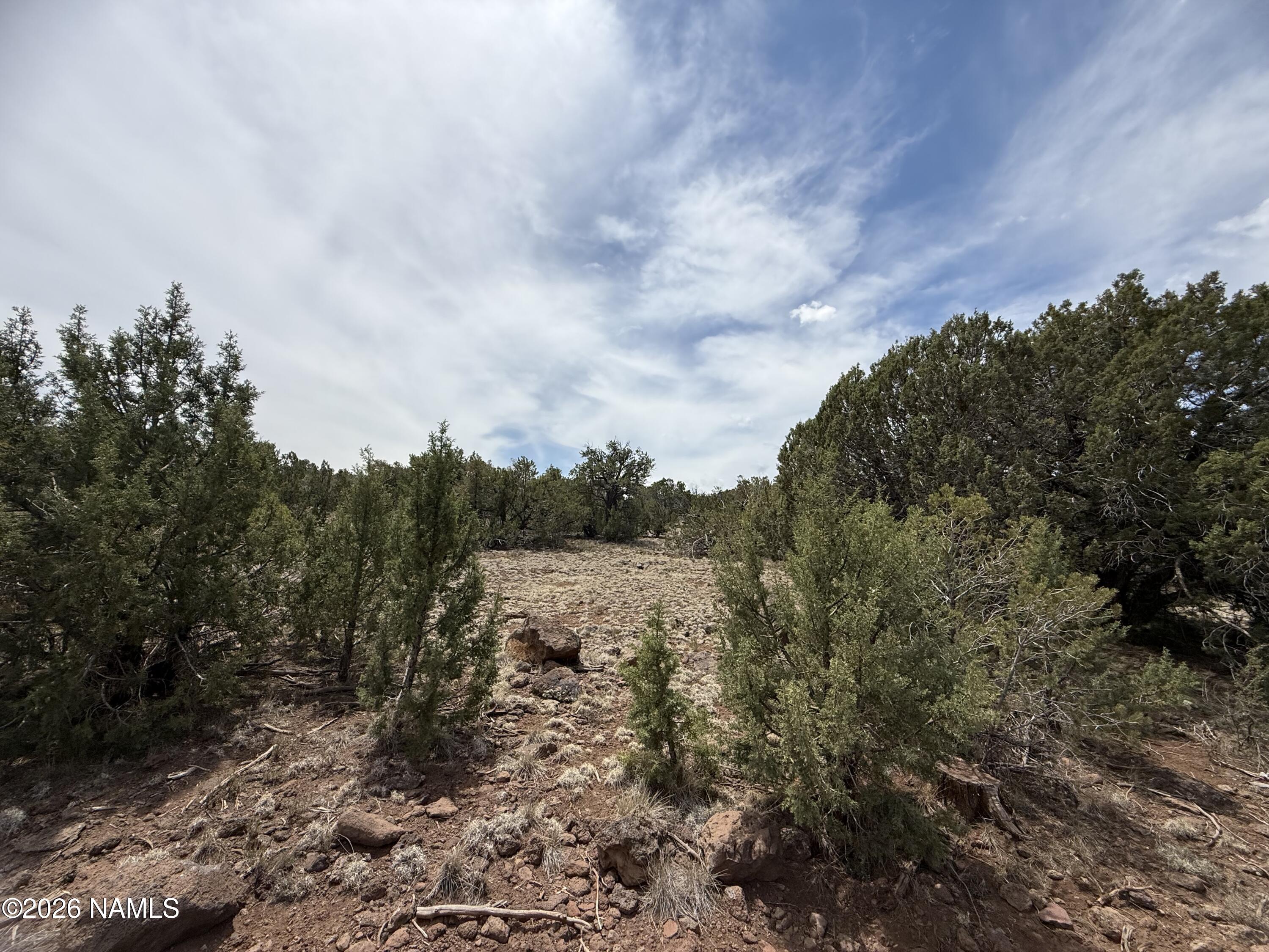 732 East Sidewinder Road Williams, AZ 86046 - Photo 6 of 10 a view of a city with lush green forest