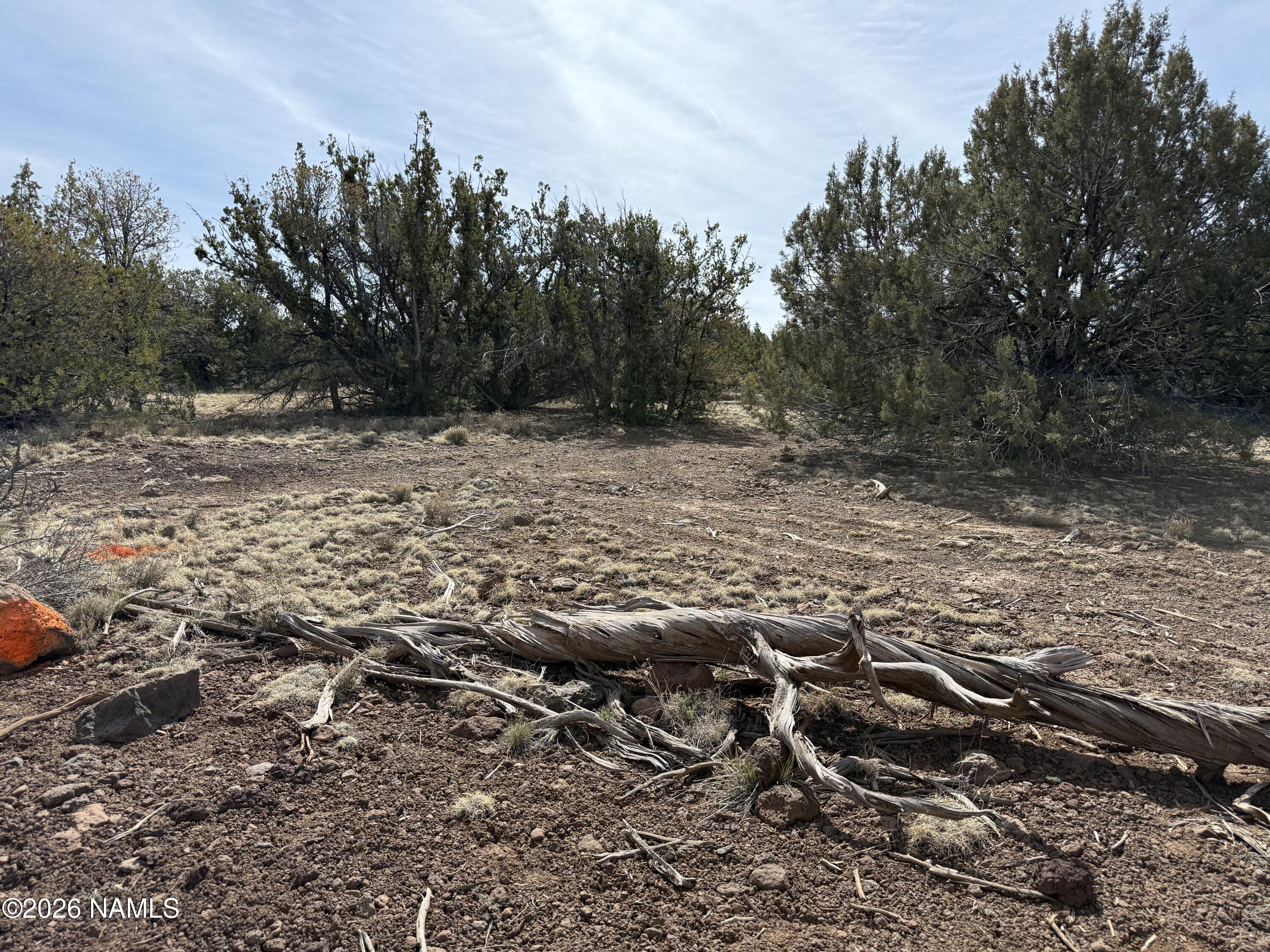 732 East Sidewinder Road Williams, AZ 86046 - Photo 10 of 10 a view of a large yard with green space