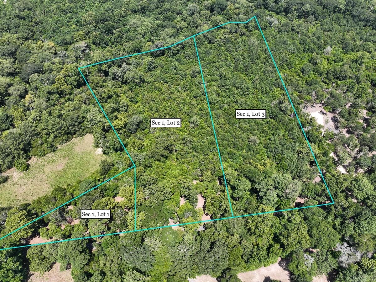 S1-l2 Lake Pool Road Shepherd, TX 77371 - Photo 2 of 9