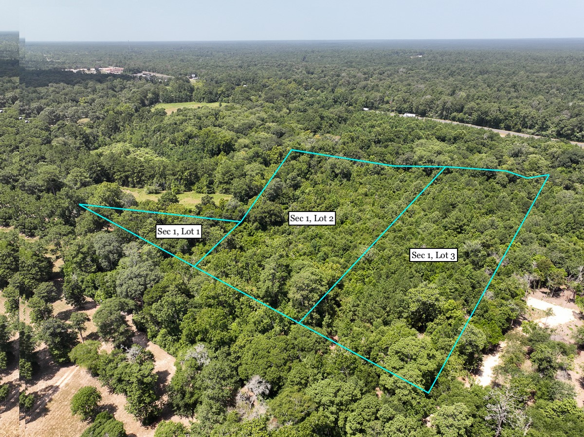 S1-l2 Lake Pool Road Shepherd, TX 77371 - Photo 4 of 9