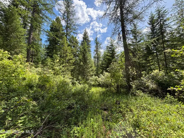 $239,000 | Nna Nna Road, Cocolalla, ID 83813
