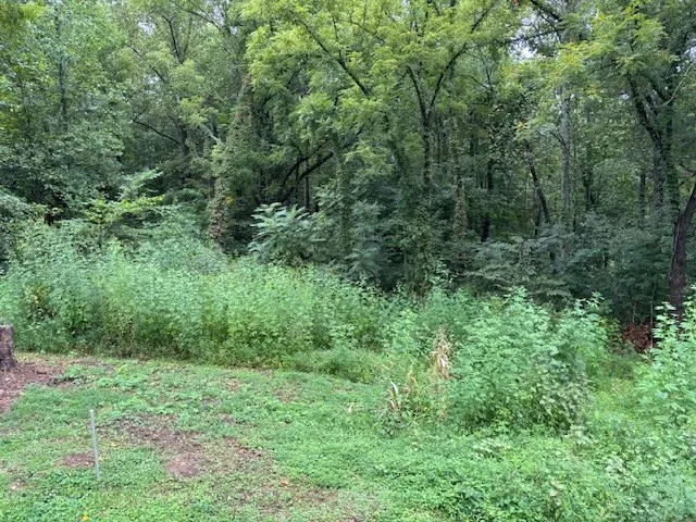 a view of a grassy field with trees in the background