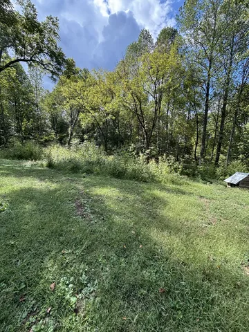 a view of a field with trees in the background