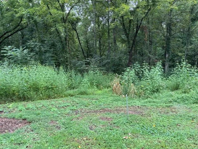 a view of a green field with lots of bushes
