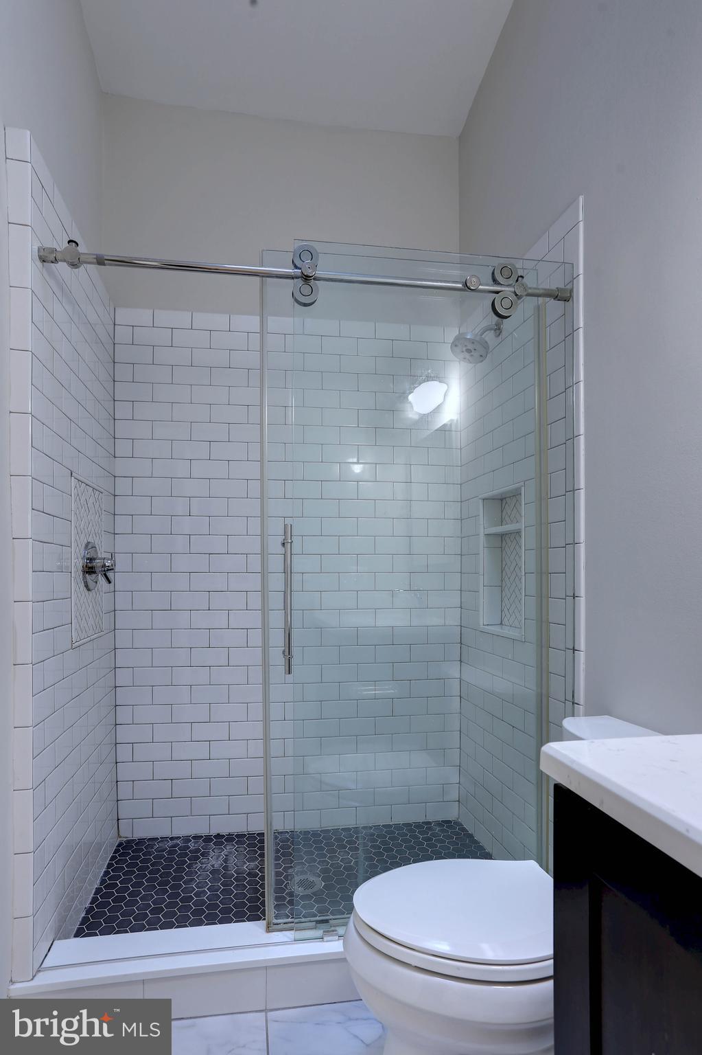 20 Bryans Mill Way Baltimore, MD 21228 - Photo 20 of 36 a bathroom with a shower and a toilet