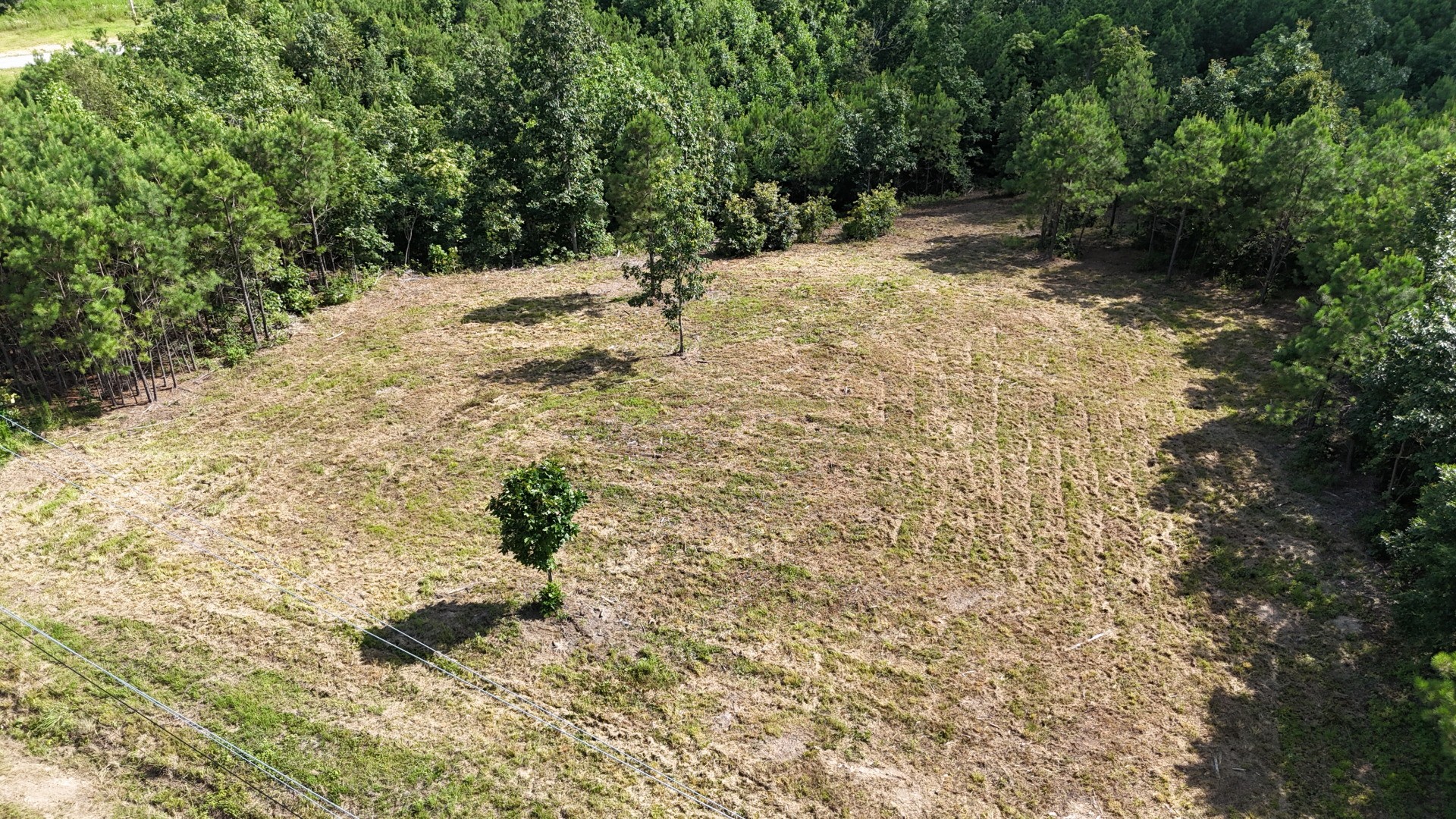 7696 Old Hohenwald Road Linden, TN 37096 - Photo 2 of 16 a view of a yard with trees