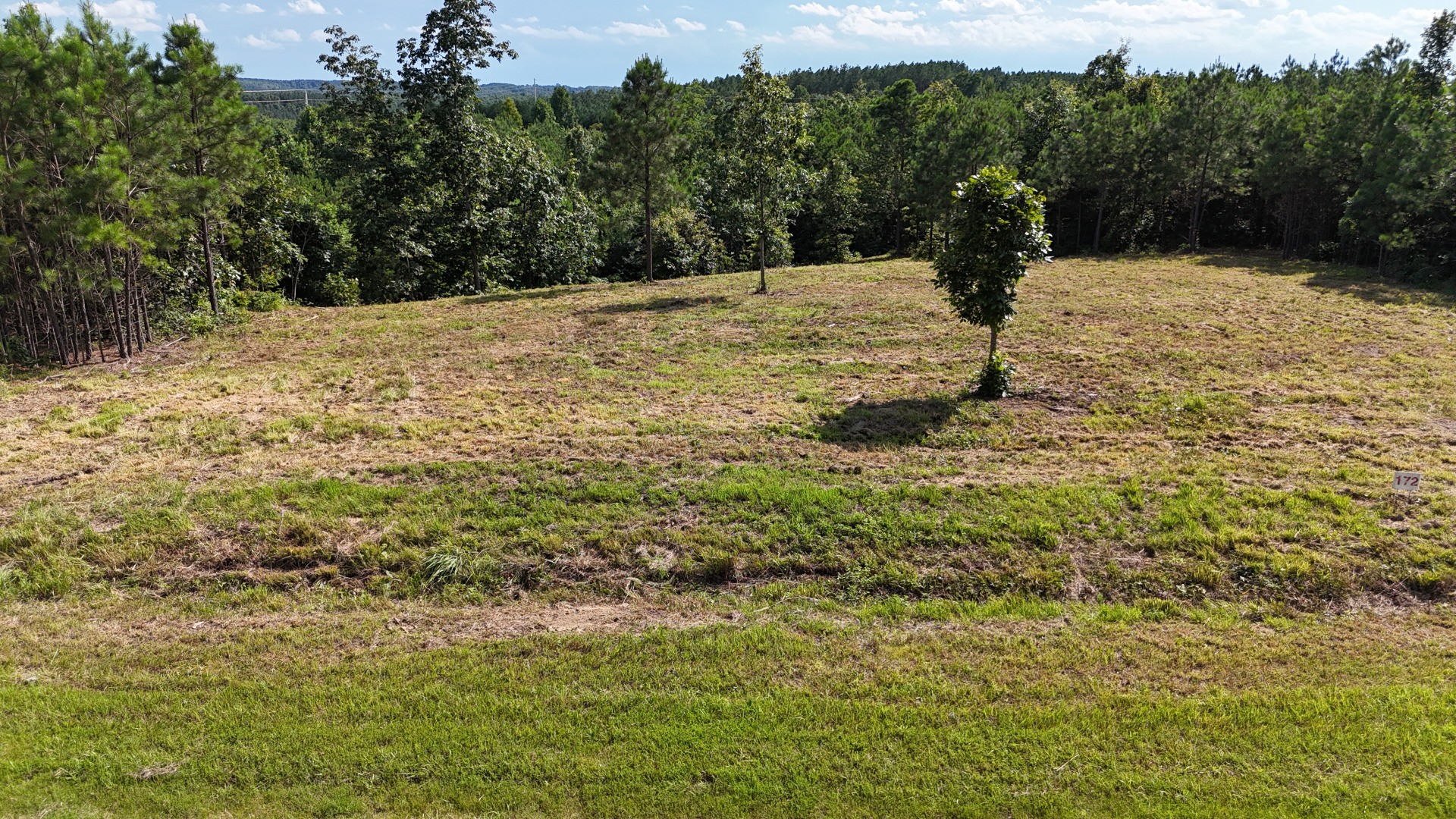 7696 Old Hohenwald Road Linden, TN 37096 - Photo 5 of 16 a view of a yard