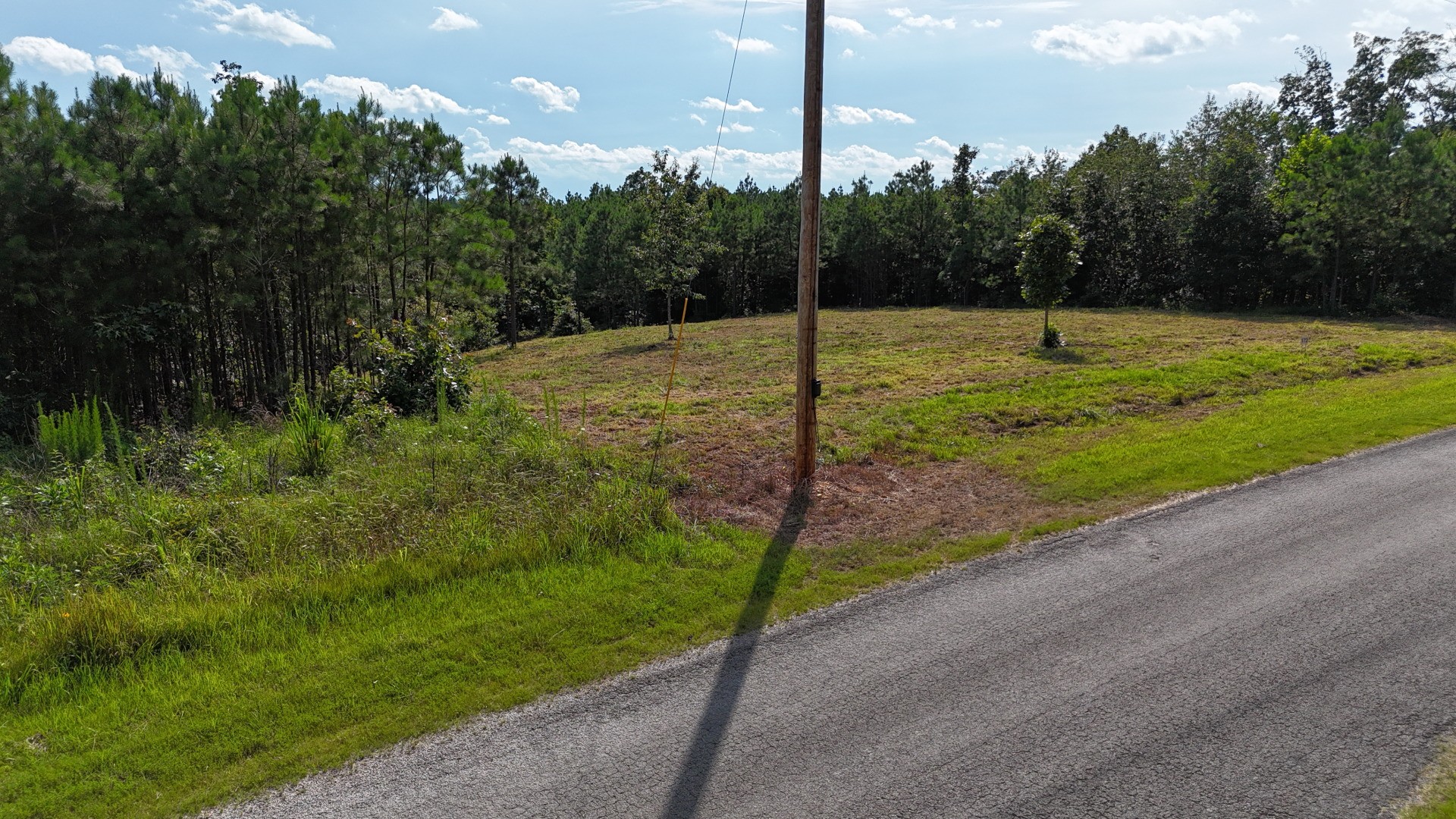 7696 Old Hohenwald Road Linden, TN 37096 - Photo 6 of 16 a view of a park