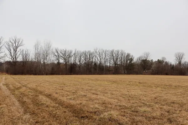 $64,500 | Sparling Road, Unit LOT1, Goodells, MI 48027