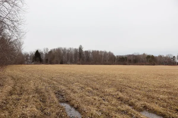 $64,500 | Sparling Road, Unit LOT1, Goodells, MI 48027