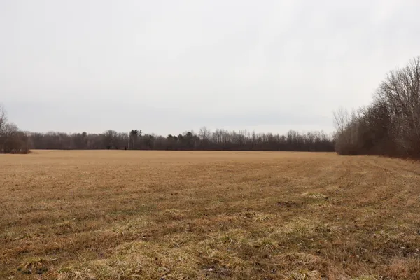 $64,500 | Sparling Road, Unit LOT1, Goodells, MI 48027