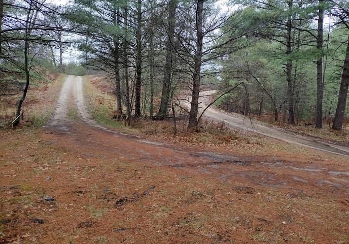 20-acres 20-acres Mckinley Road Marion, MI 49665 - Photo 7 of 48