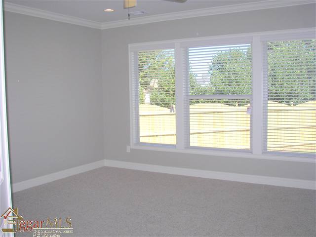 1 Aldgate Way Greer, SC 29650 - Photo 11 of 25 Gallery Image 11
