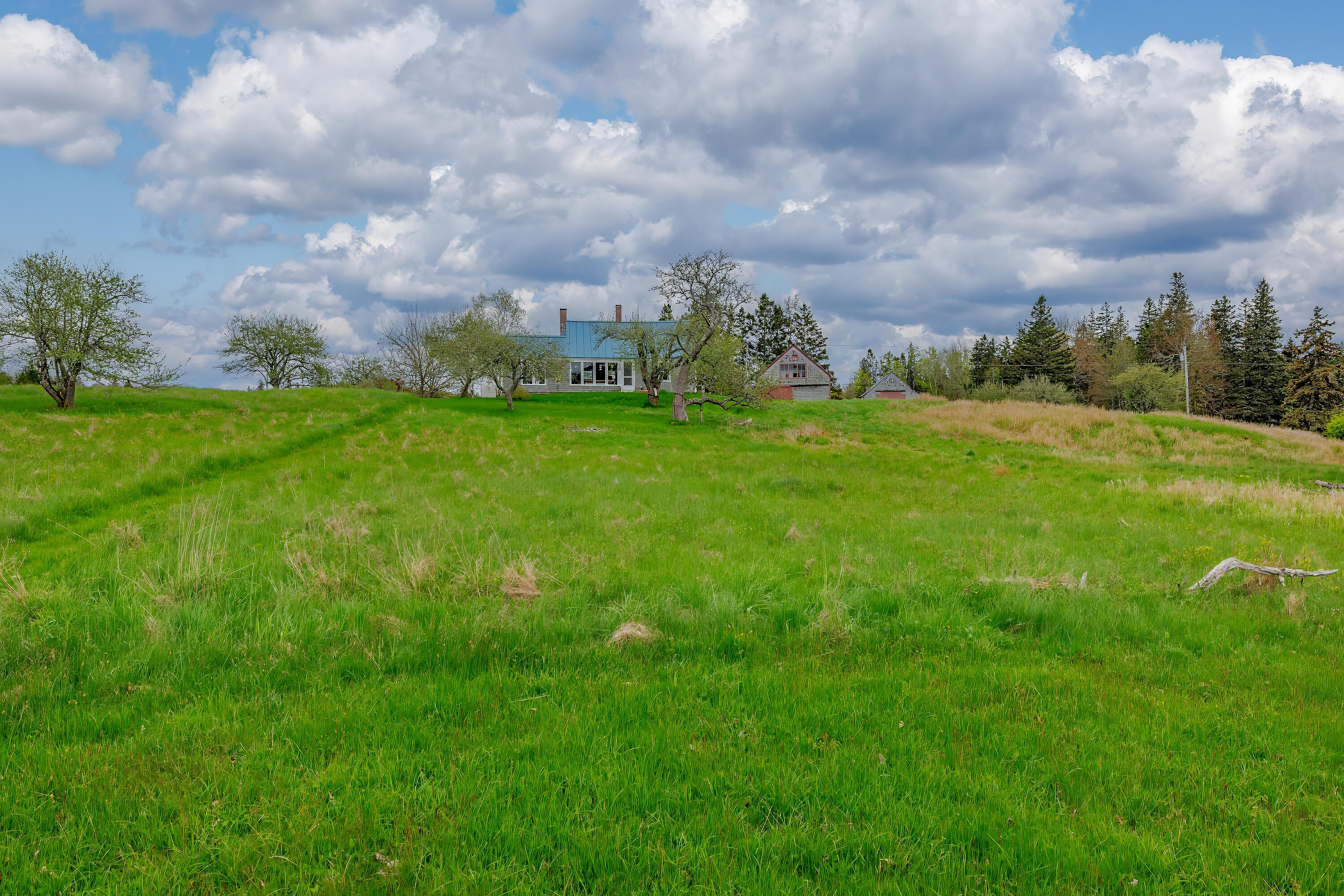 17 Barbour Farm Road Stonington, ME 04681 - Photo 43 of 50 17BarbourFarmRoad_DTP_041