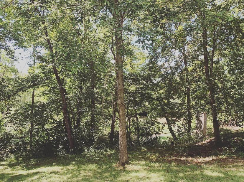 8760 Covington-Gettysburg Road Covington, OH 45318 - Photo 28 of 28