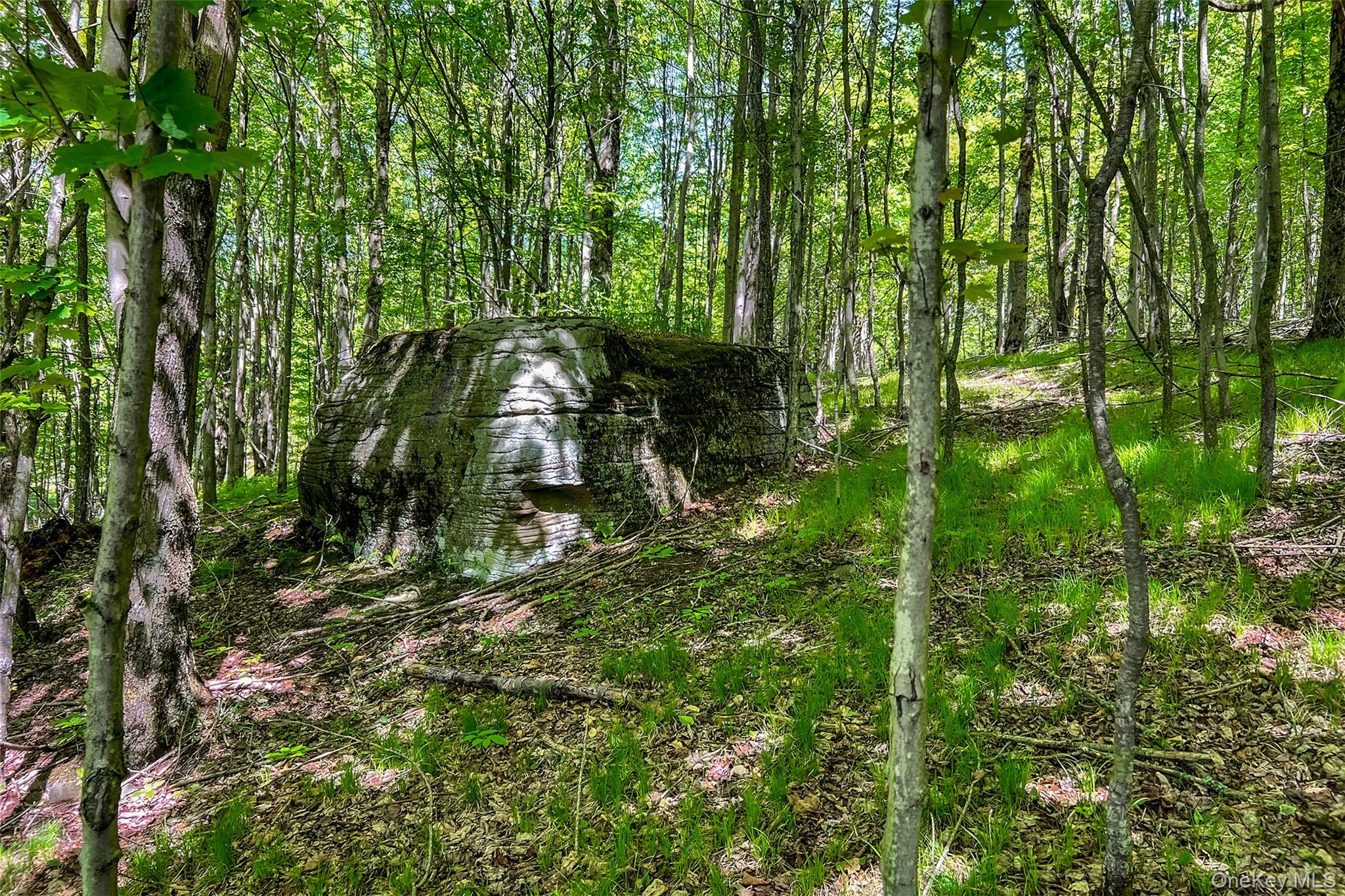 26 Federal Hill 2 Road Delhi, NY 13753 - Photo 28 of 50