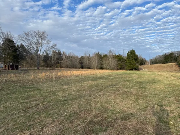 a view of a field with trees in background