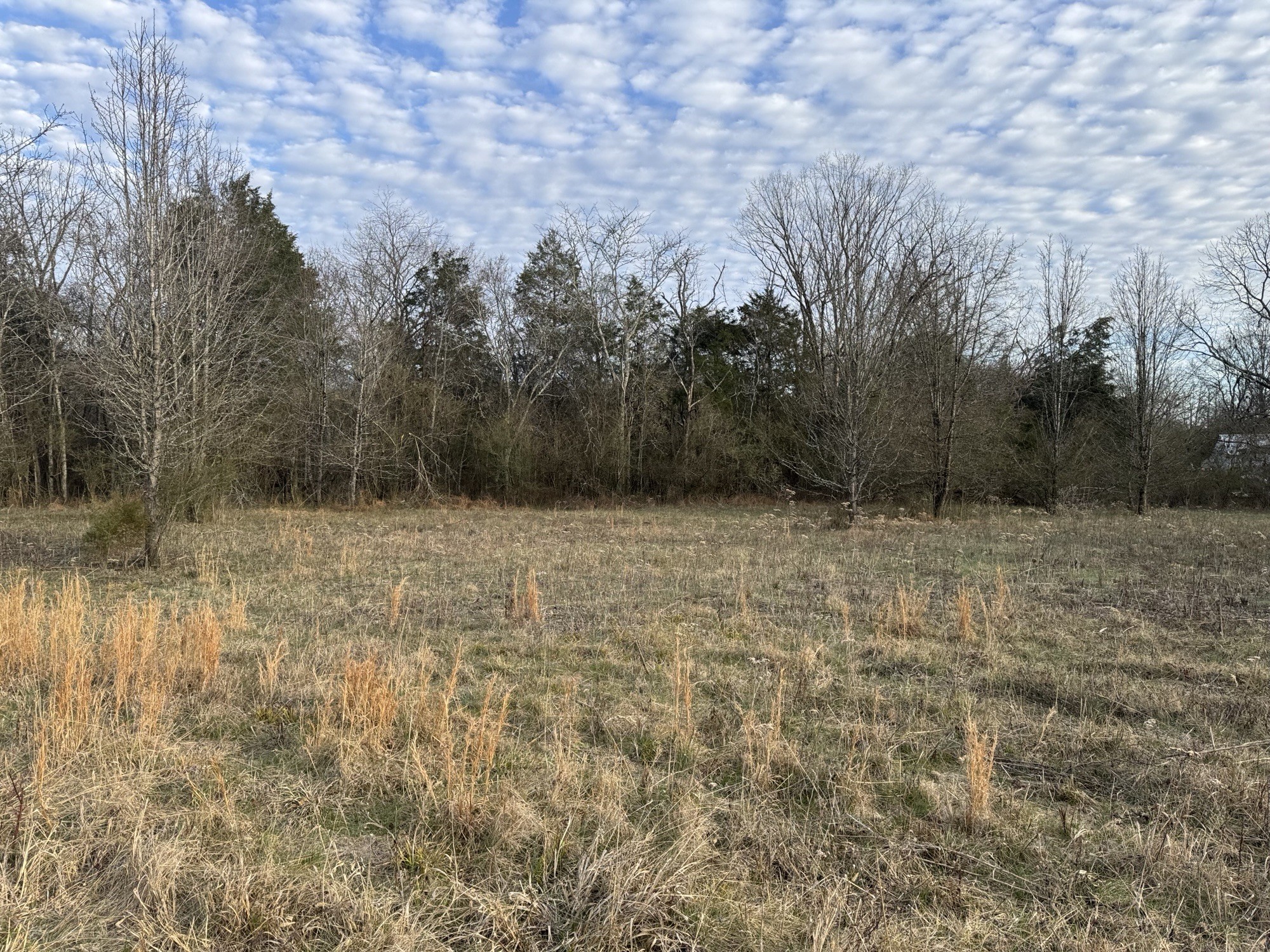 0 Tinnin Road Goodlettsville, TN 37072 - Photo 11 of 20