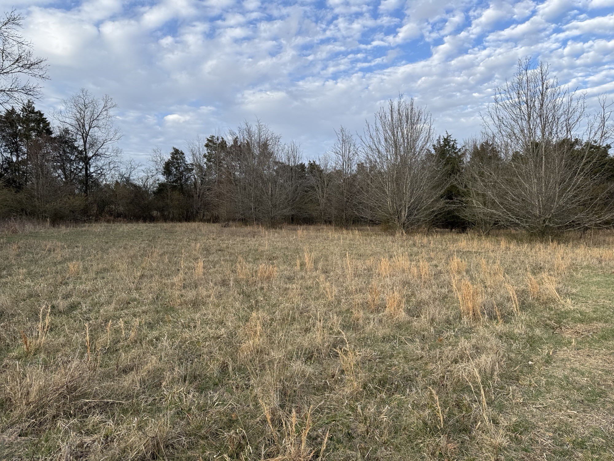 0 Tinnin Road Goodlettsville, TN 37072 - Photo 14 of 20