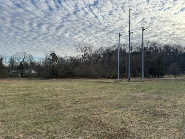 a view of a field with trees