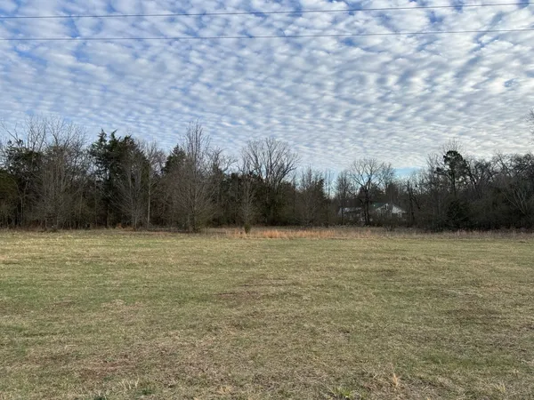 a view of a field with trees in background