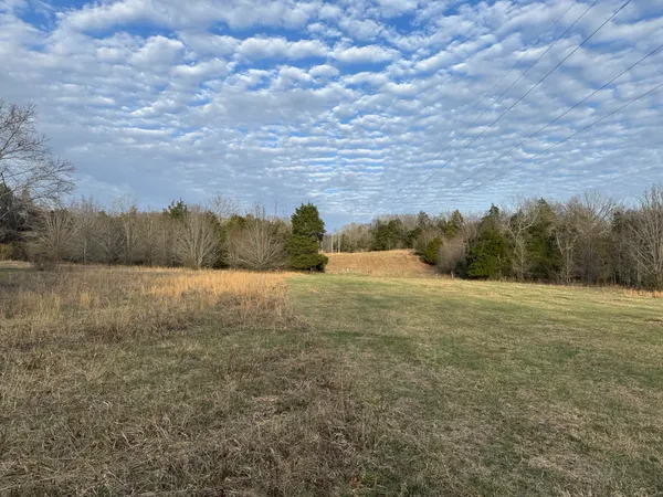 a view of a yard