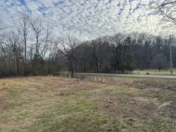 a view of a yard