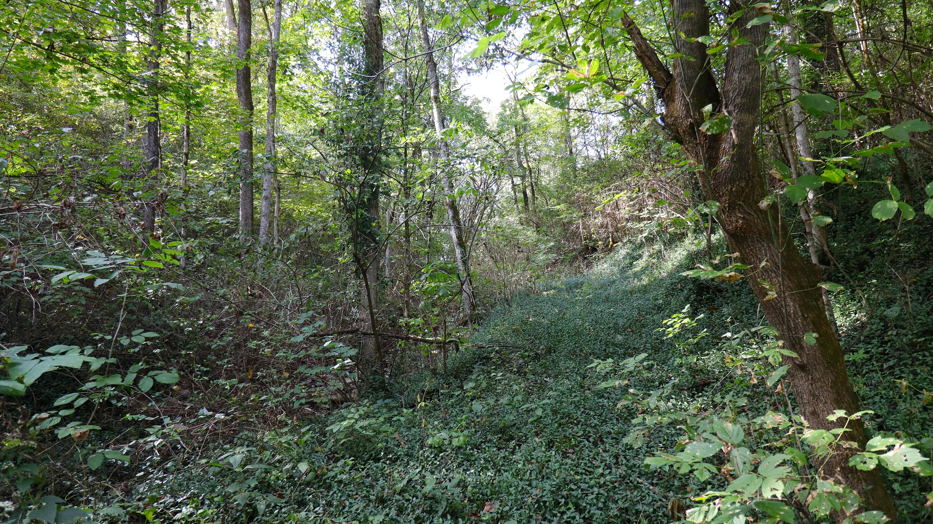 629 Oregon Road Salvisa, KY 40372 - Photo 40 of 40 IMG_3968