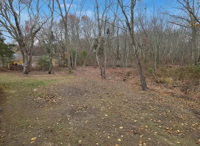 a view of a forest with trees in the background