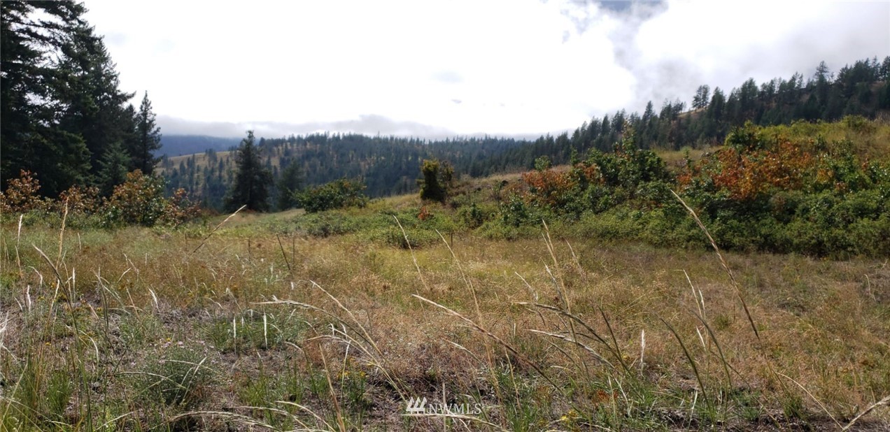 2251 Skeels Road Addy, WA 99101 - Photo 11 of 24