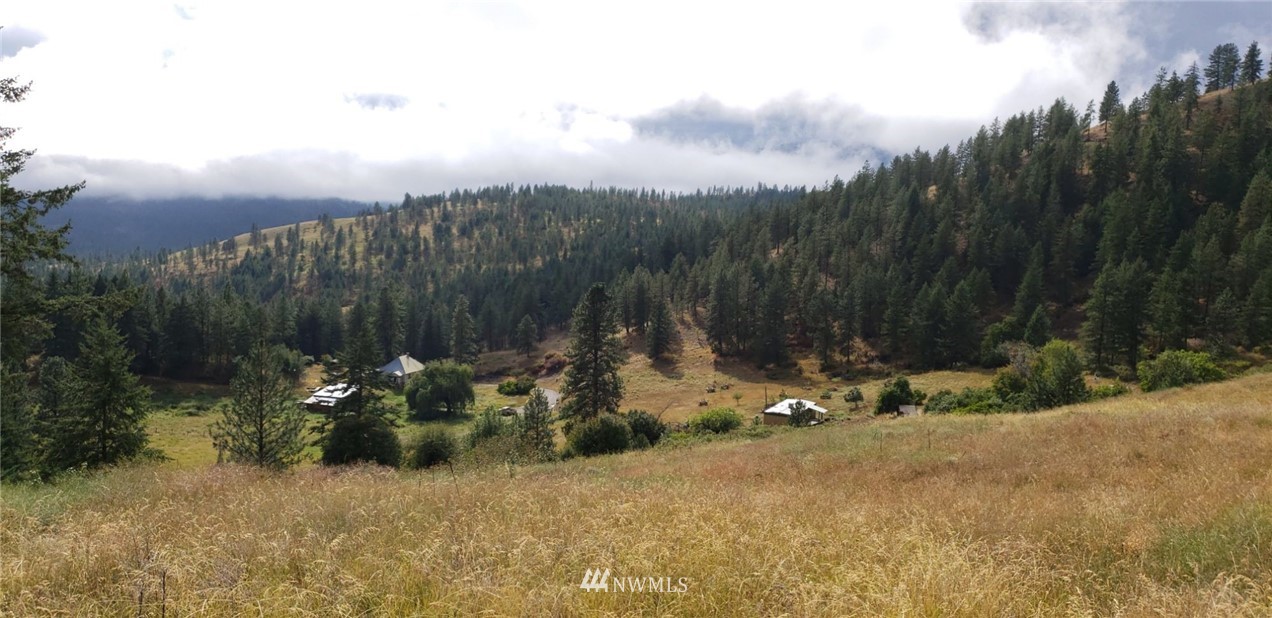 2251 Skeels Road Addy, WA 99101 - Photo 12 of 24