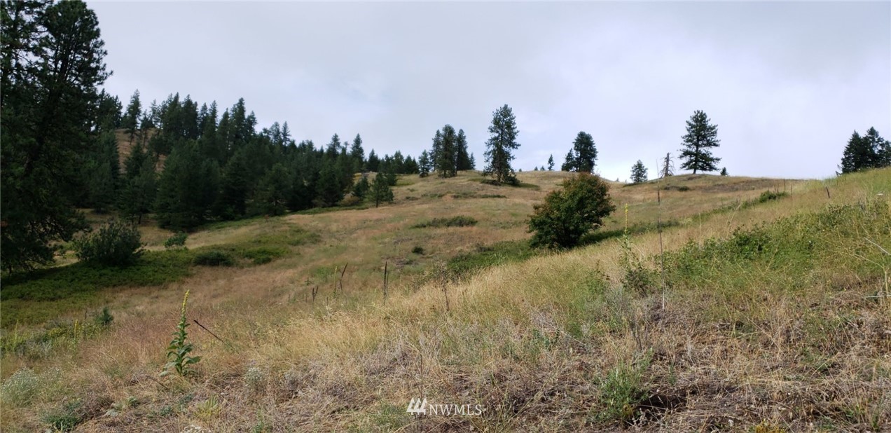 2251 Skeels Road Addy, WA 99101 - Photo 13 of 24