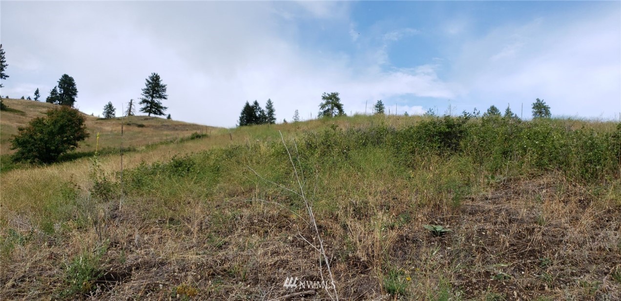 2251 Skeels Road Addy, WA 99101 - Photo 14 of 24