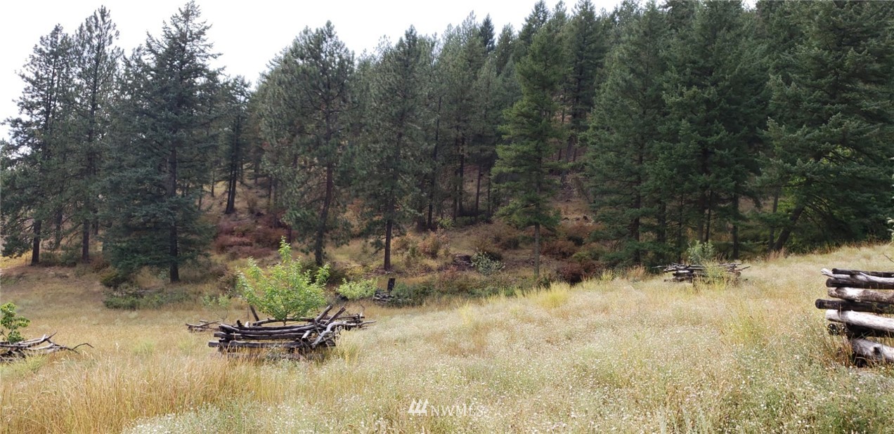 2251 Skeels Road Addy, WA 99101 - Photo 16 of 24