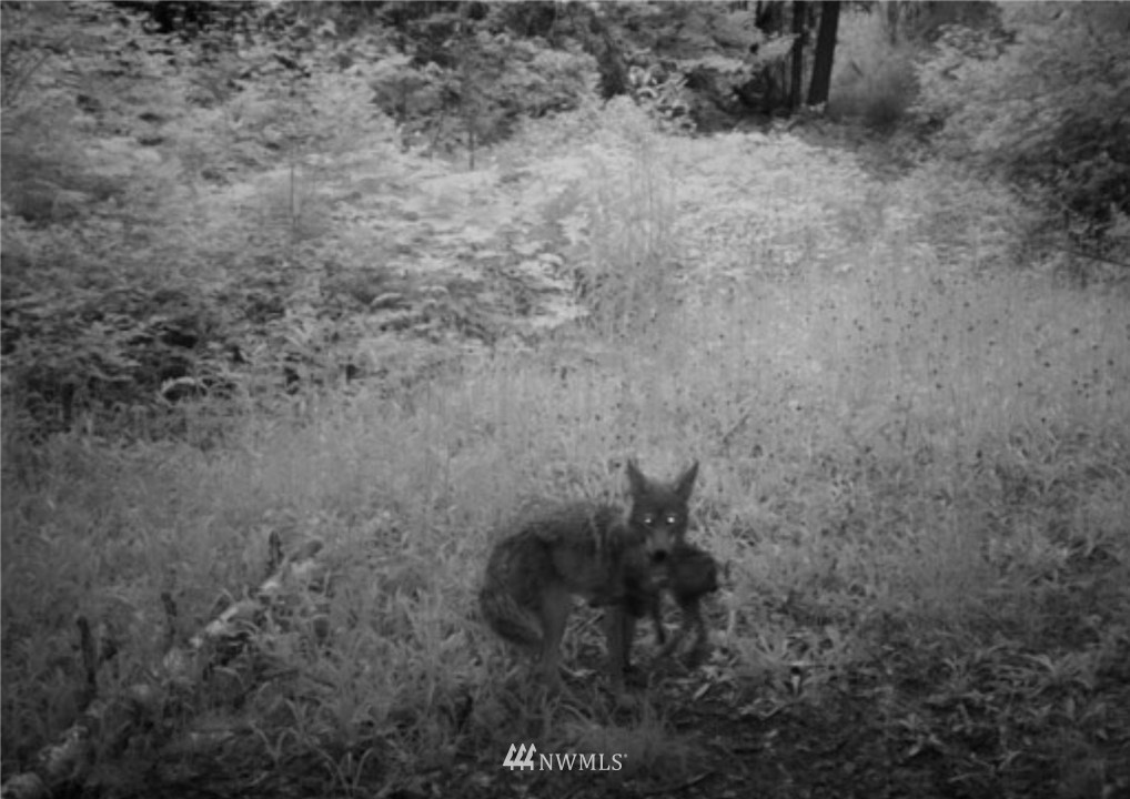2251 Skeels Road Addy, WA 99101 - Photo 18 of 24