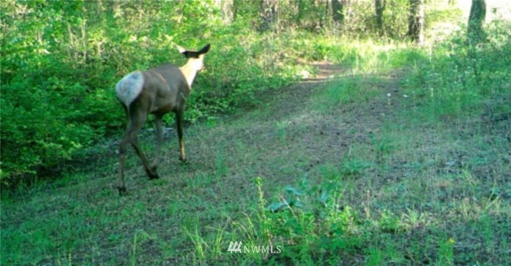 2251 Skeels Road Addy, WA 99101 - Photo 21 of 24