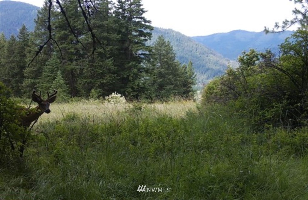 2251 Skeels Road Addy, WA 99101 - Photo 23 of 24