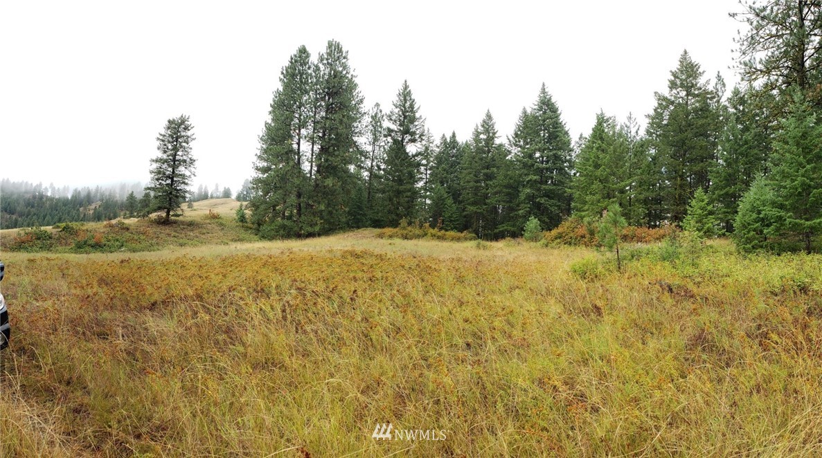 2251 Skeels Road Addy, WA 99101 - Photo 7 of 24