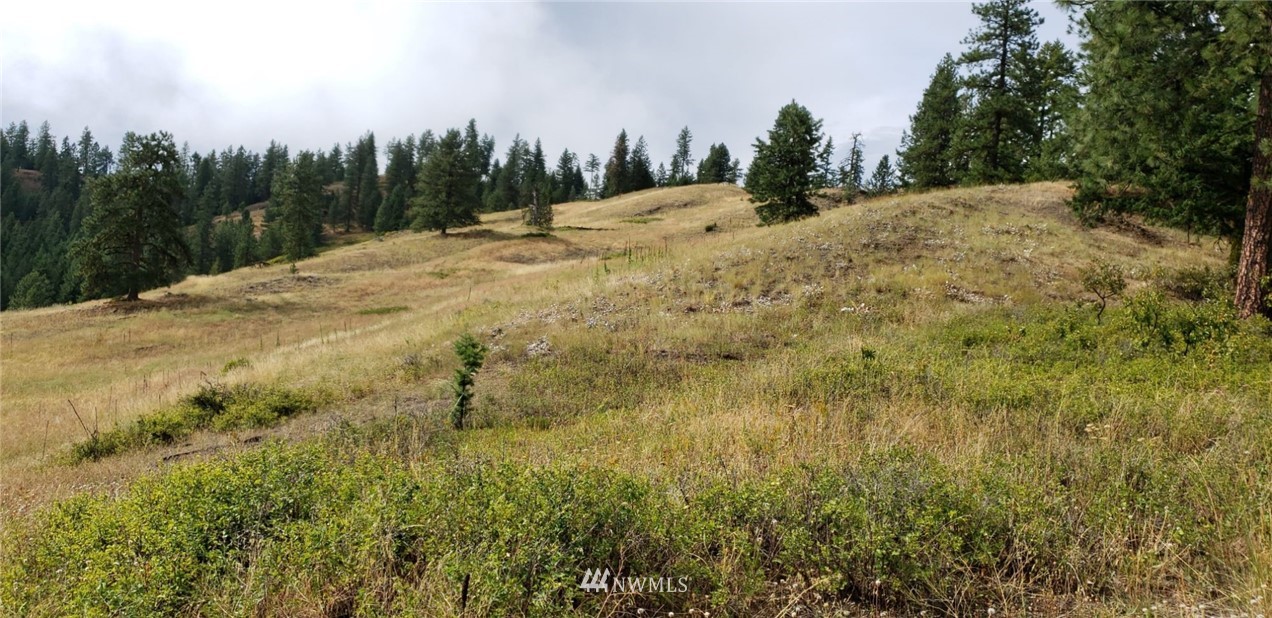 2251 Skeels Road Addy, WA 99101 - Photo 9 of 24