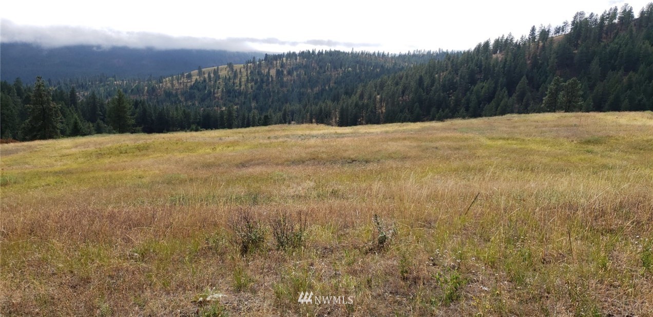2251 Skeels Road Addy, WA 99101 - Photo 10 of 24