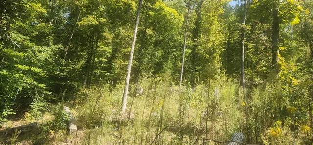 a room with musical instruments