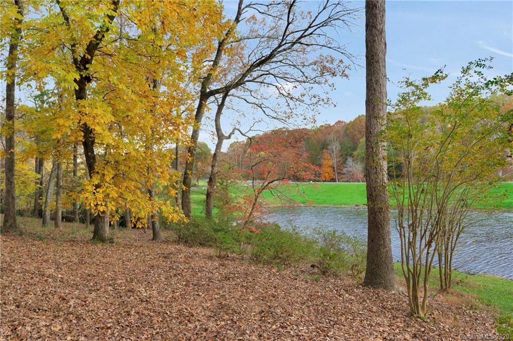 950 Eagle Road Weddington, NC 28173 - Photo 43 of 48 Gallery Image 43