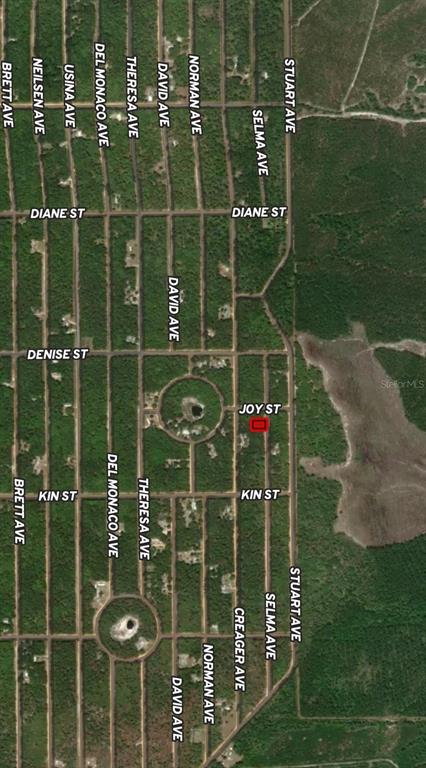 19 Selma Avenue Interlachen, FL 32148 - Photo 4 of 5 a view of a glass door