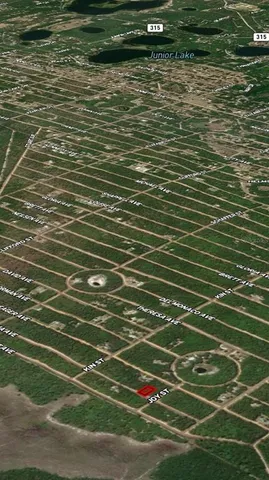 $7,400 | 19 Selma Avenue, Interlachen, FL 32148