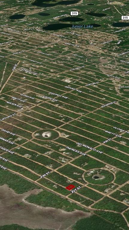 19 Selma Avenue Interlachen, FL 32148 - Photo 5 of 5 a view of a basket ball court