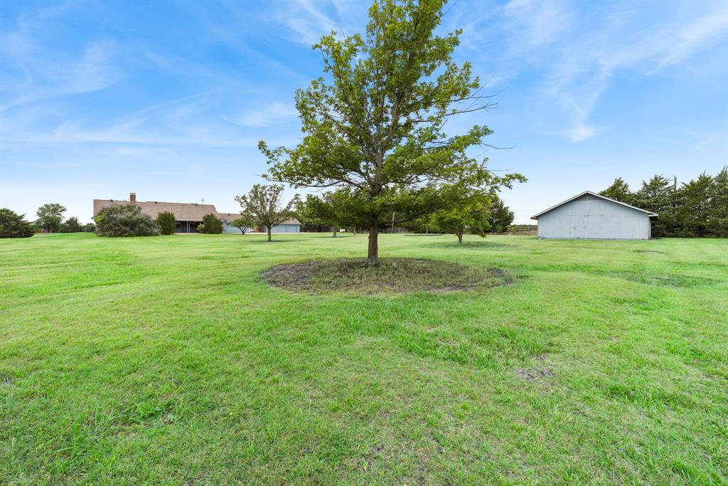 1175 Bloom Street Lucas, TX 75002 - Photo 33 of 36 a view of a big yard with plants and large trees