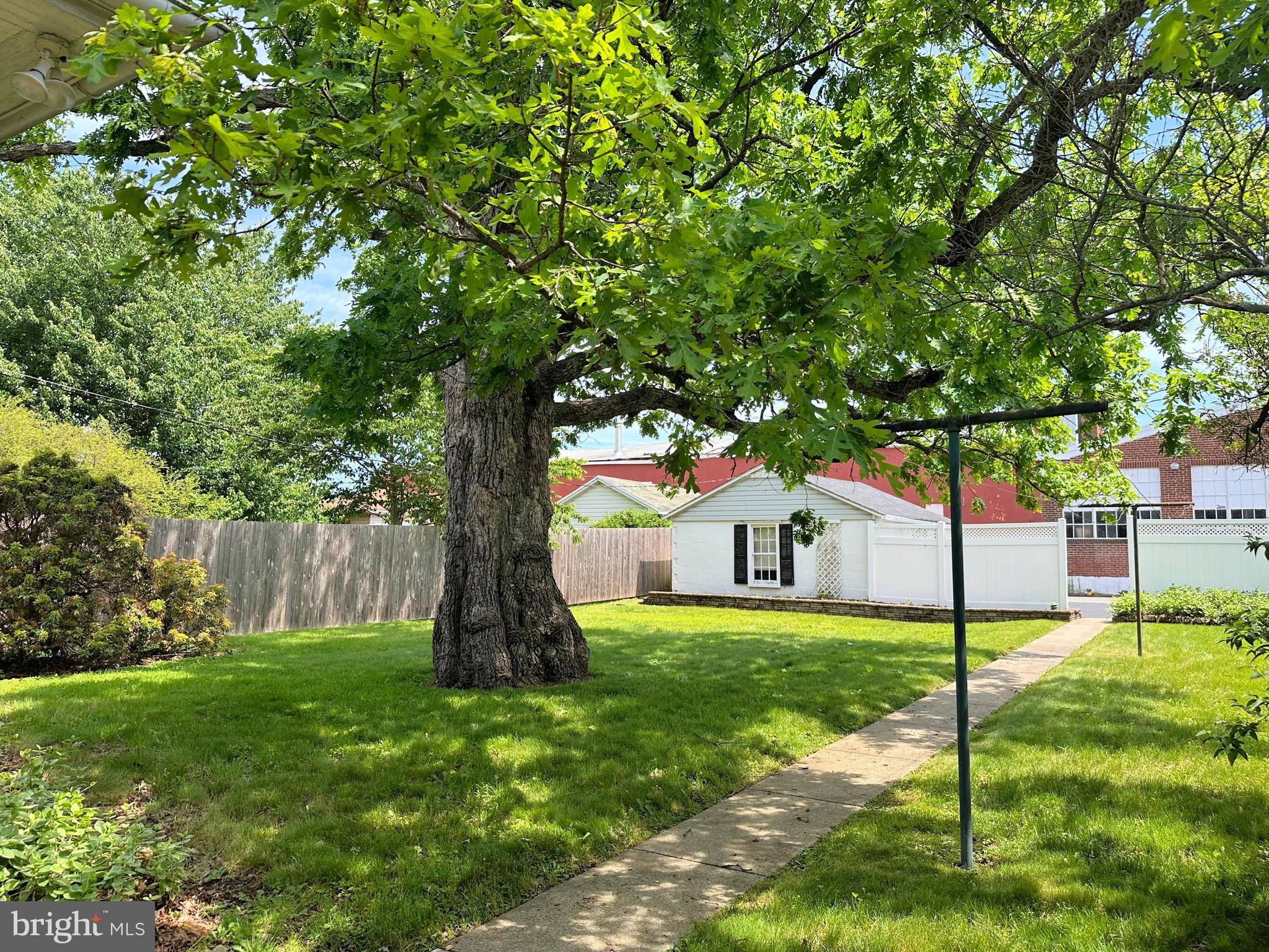 634 Main Street Red Hill, PA 18076 - Photo 8 of 34 a house with a tree in front of it
