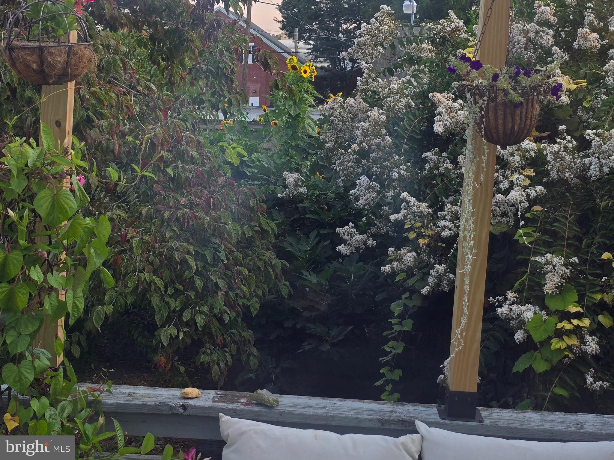 431 East Orange Street Lancaster, PA 17602 - Photo 46 of 46 a backyard of a house with lots of green space