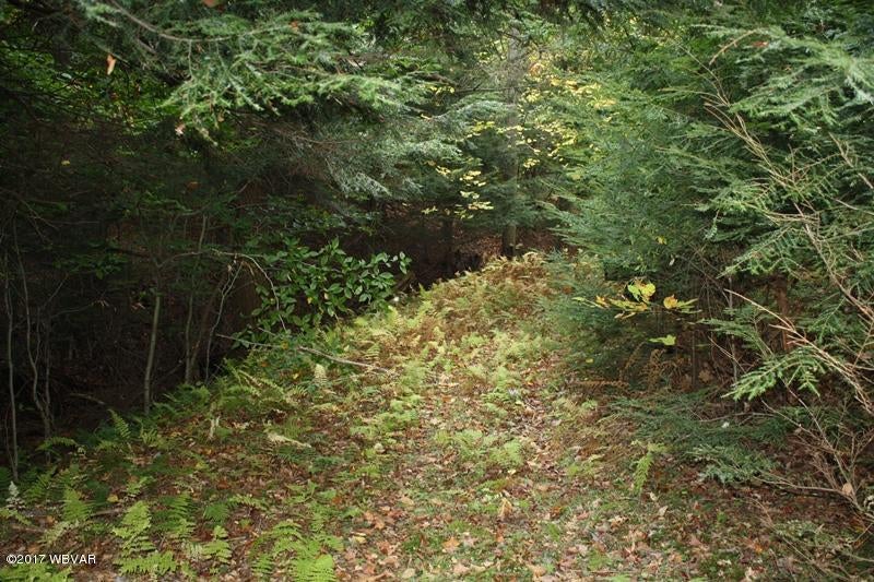 548 Tower Hill Road Tioga, PA 16946 - Photo 23 of 69 IMG_1558