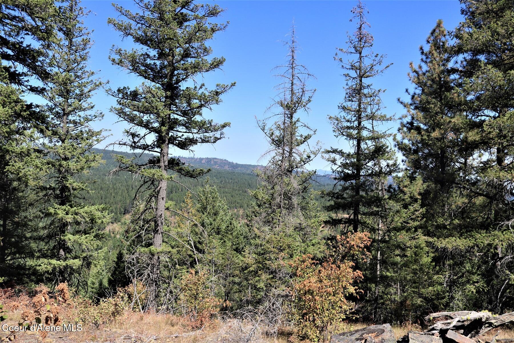 700 Outlook Road Cocolalla, ID 83813 - Photo 18 of 32 IMG_6472